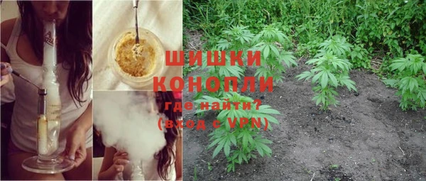 крисы Балахна
