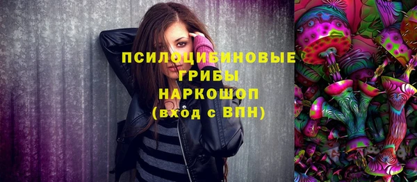 спайс Баксан